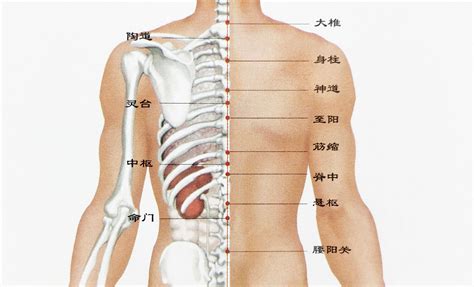 背後有痣|背部有痣图解大全 背部有痣的人看命运